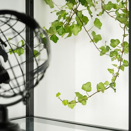 Guestready - Serene Stay In Oporto Exteriör bild