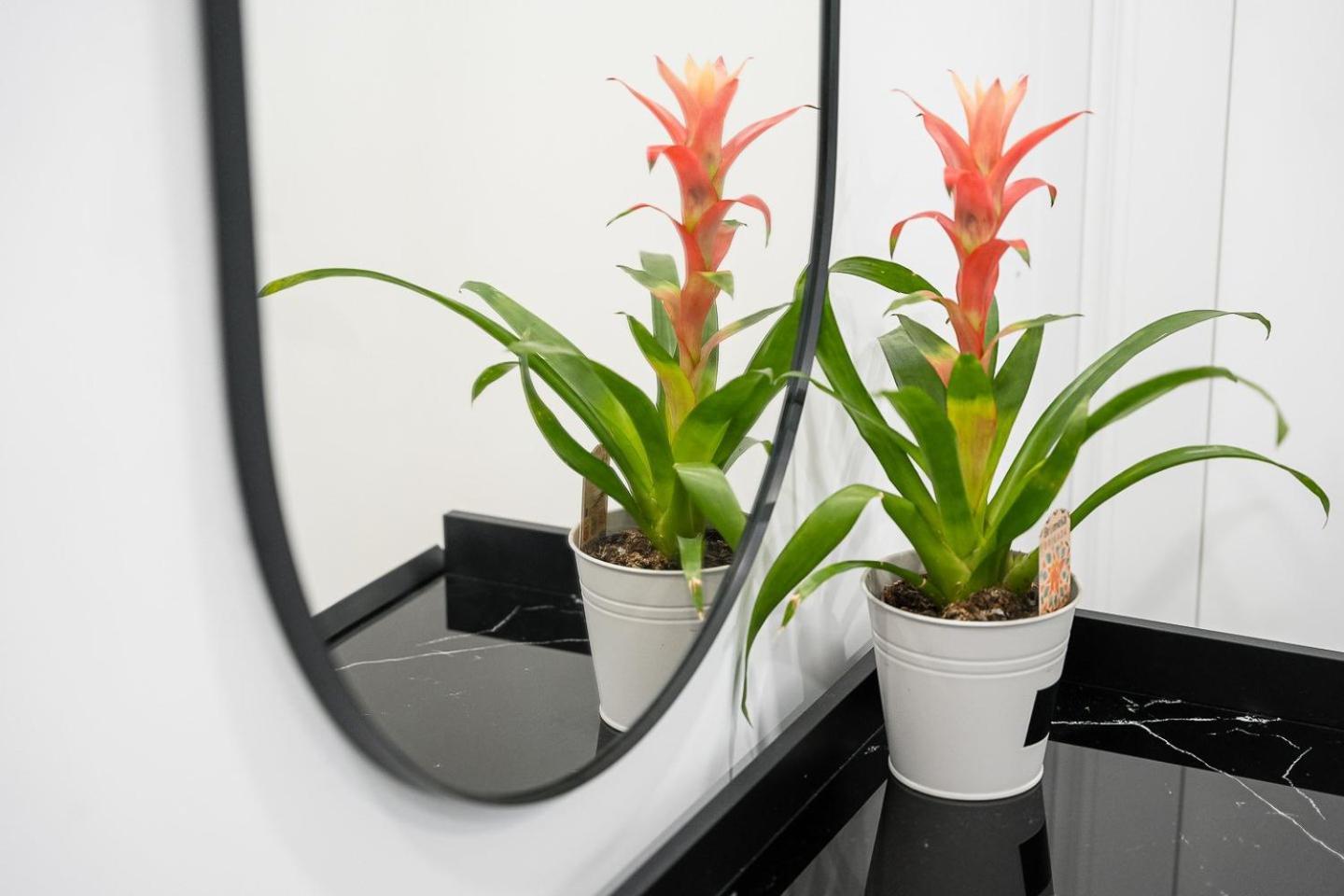 Guestready - Serene Stay In Oporto Exteriör bild